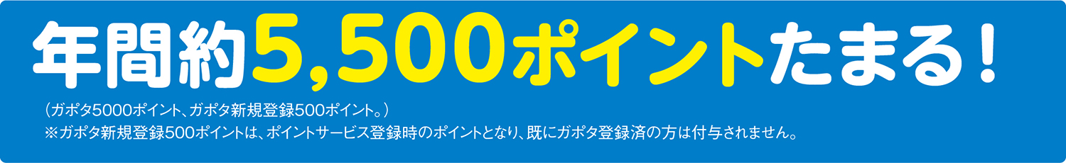 年間約5,500ポイントたまる!