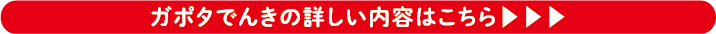 ガポタでんきの詳しい内容はこちら