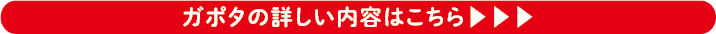 ガポタの詳しい内容はこちら