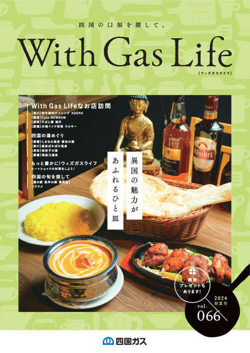 2024.  Vol.66
