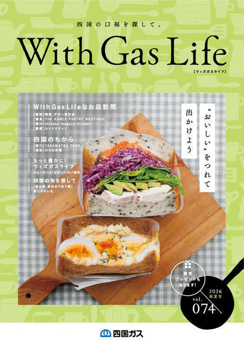 2026.  Vol.74